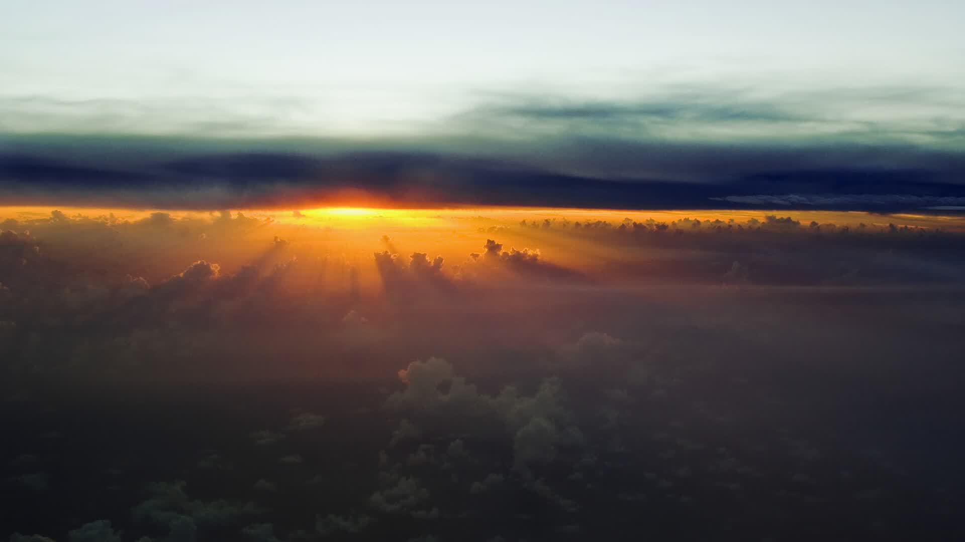 世界游泳接力队体能数据公开与解读，游泳接力选手